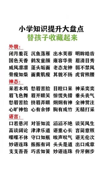 什么是描写词语_描写词语怎么用