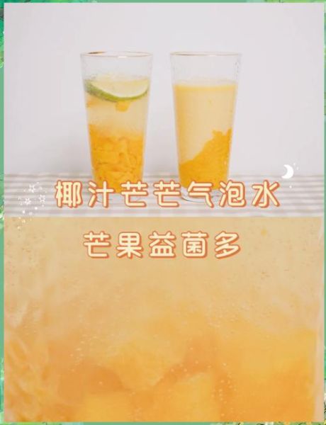芒果饮品做法大全_芒果饮品怎么做
