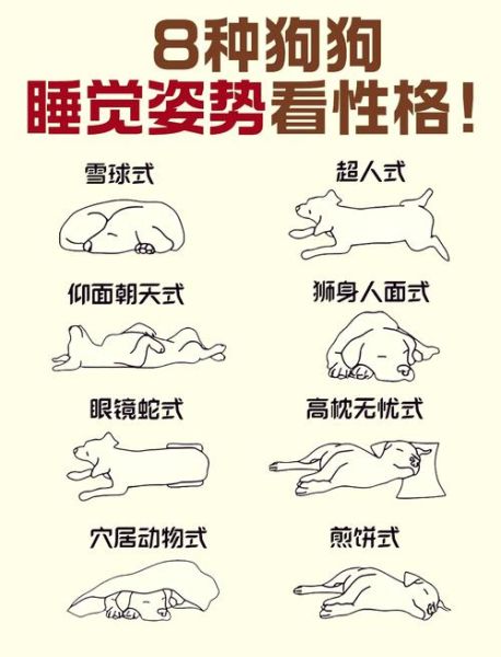 睡相差是什么原因_如何改善睡姿