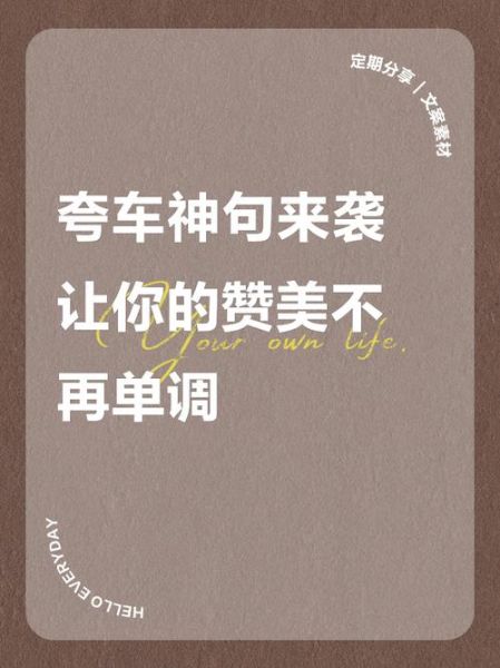 如何夸车技好_表扬车技过硬的词语