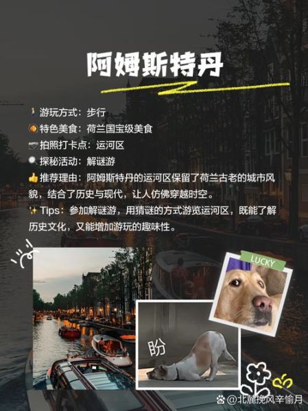 荷兰移民弊端有哪些_荷兰移民后悔了吗