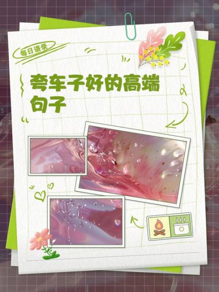 如何夸车技好_表扬车技过硬的词语