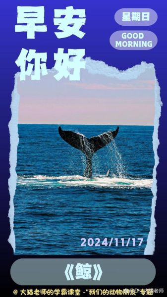鲸鱼象征什么_鲸鱼比喻人代表什么