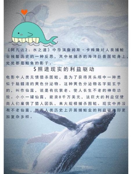 鲸鱼象征什么_鲸鱼比喻人代表什么