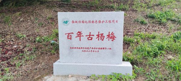 劳累奔波怎么缓解_劳累奔波后吃什么恢复体力