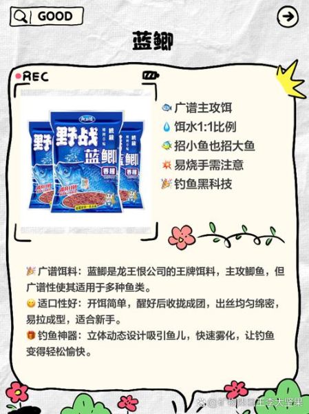 捕鱼用什么鱼饵最好_新手怎么选钓点