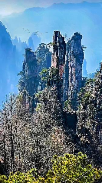 秀丽的山有哪些_为什么叫秀丽