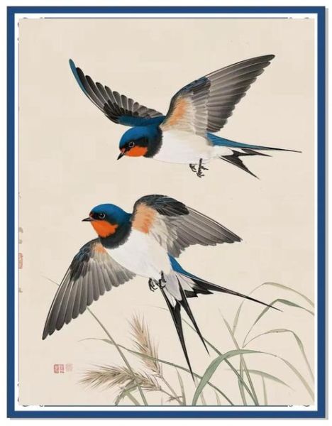 两只燕子代表什么_两只燕子飞进家里预示什么