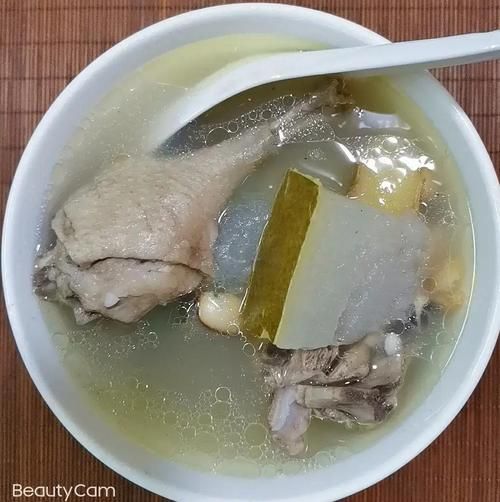 鸭肉冬瓜汤的做法_鸭肉冬瓜汤怎么炖不腥