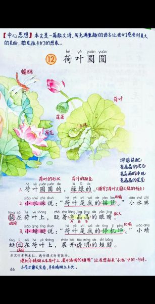 荷叶圆圆怎么画_荷叶圆圆儿歌歌词