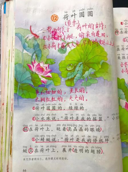 荷叶圆圆怎么画_荷叶圆圆儿歌歌词