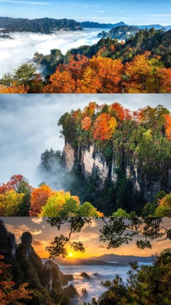 秋天去哪里看红叶_如何拍出层林尽染大片