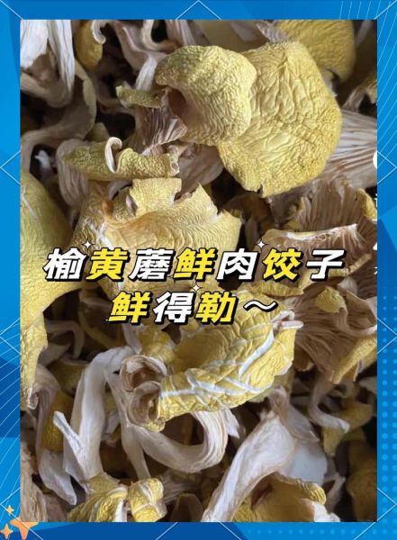 榆黄蘑饺子馅怎么做_榆黄蘑饺子馅做法窍门