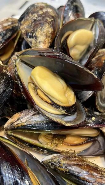 淡菜怎么清洗_淡菜的家常做法步骤