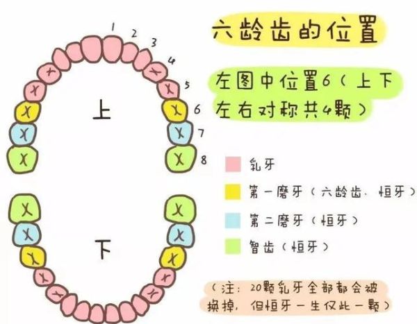 颗牙是词语吗_颗牙和一颗牙区别