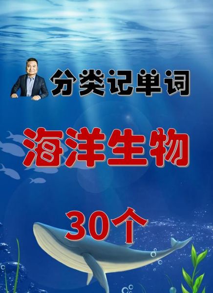 海洋词语有哪些_海洋词语怎么写