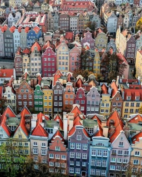 波兰创业移民条件_波兰创业移民多少钱