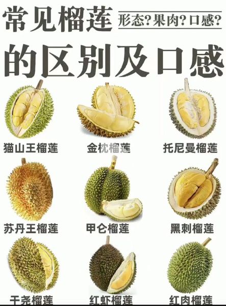 榴莲广告语怎么写_榴莲广告文案有哪些