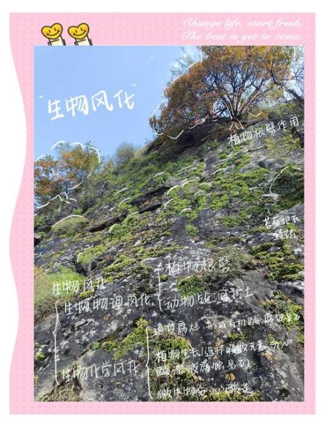 风貌是什么意思_风貌和面貌有什么区别