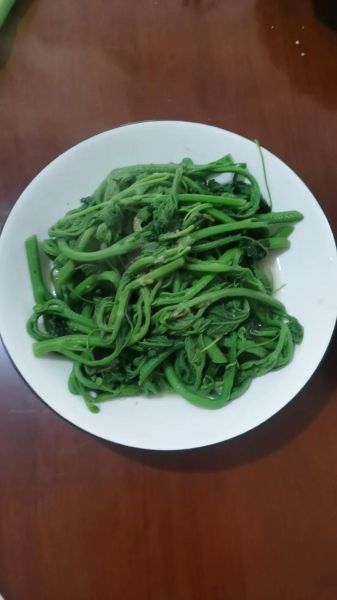 南瓜藤怎么炒好吃_南瓜藤要焯水吗
