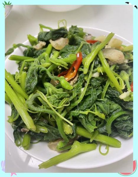 南瓜藤怎么炒好吃_南瓜藤要焯水吗