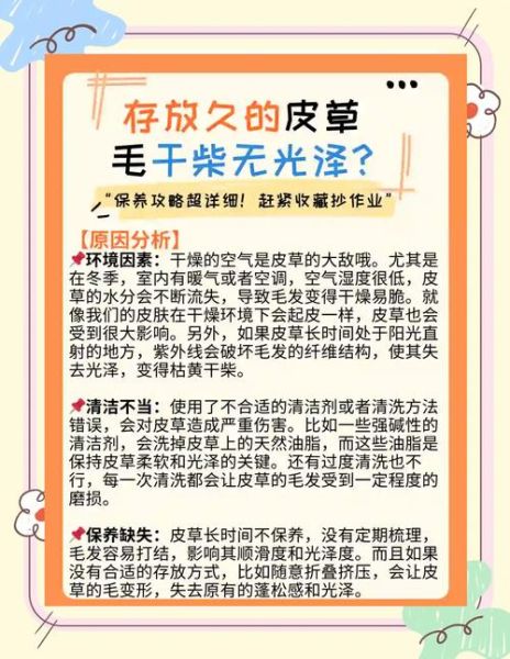 皮毛怎么保养_皮毛清洗方法