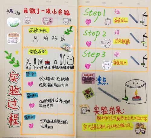 实验步骤怎么写_实验过程描述常用词