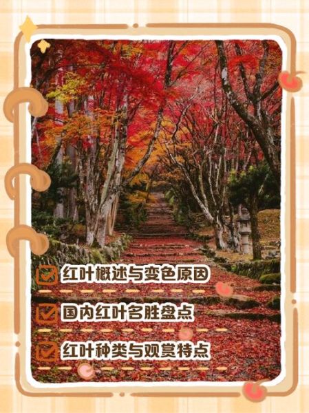 树叶为什么会变红_红叶最佳观赏时间