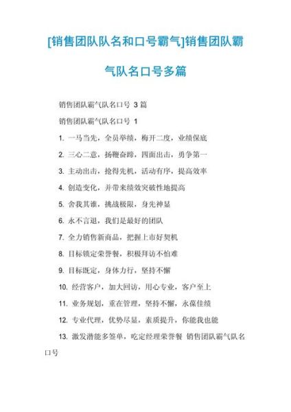 团队风貌怎么描述_团队风貌有哪些词语