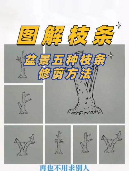 树枝断了怎么处理_树木修剪后伤口怎么保护