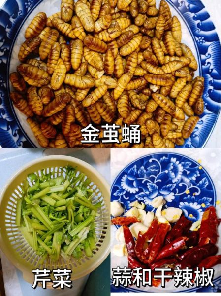 蚕蛹怎么做好吃_蚕蛹的做法大全