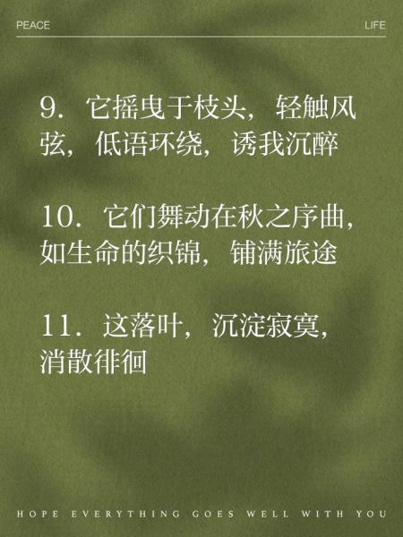 树叶繁茂怎么形容_树叶繁茂的优美句子有哪些