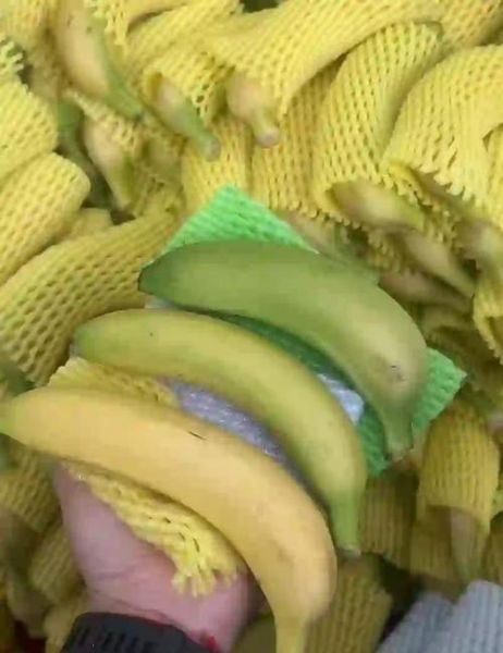 香蕉手机网怎么样_香蕉手机网靠谱吗