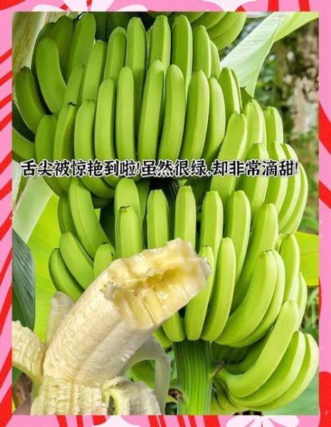 香蕉手机网怎么样_香蕉手机网靠谱吗