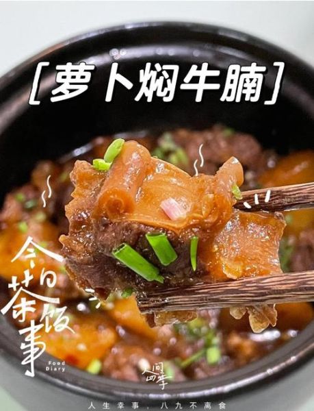 红萝卜烧牛肉怎么做好吃_家常做法窍门