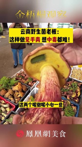 见手青怎么炒_见手青中毒怎么办