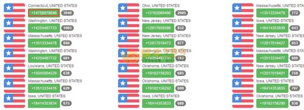 加拿大手机号格式_加拿大手机号怎么拨打