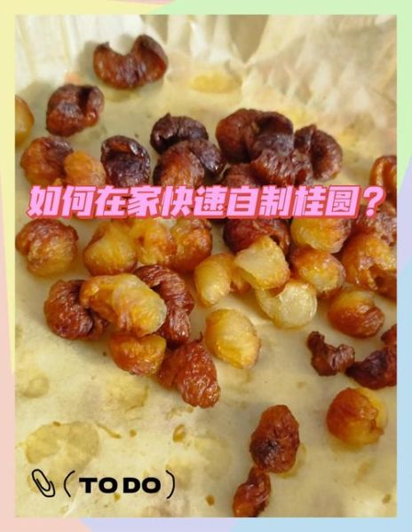 桂圆怎么煮好吃_桂圆的做法大全