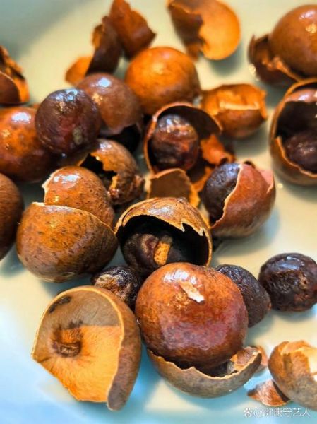 桂圆怎么煮好吃_桂圆的做法大全