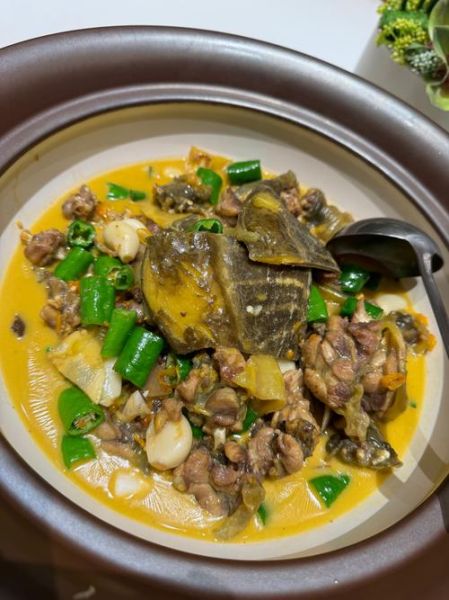 红烧甲鱼怎么做_红烧甲鱼的家常做法