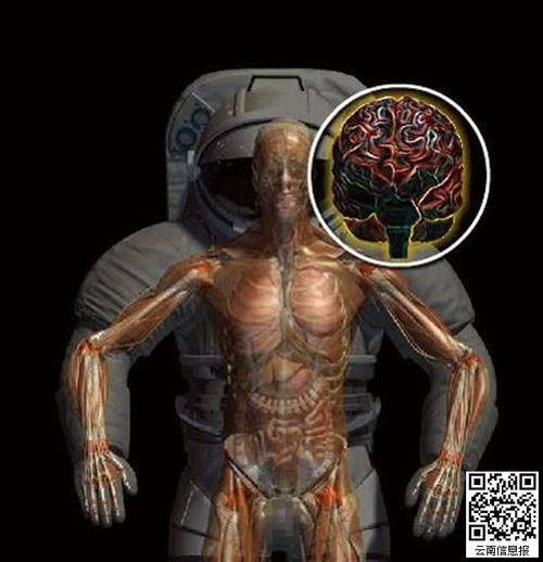 失重是什么意思_失重对人体的影响