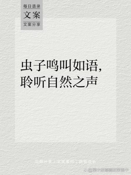 虫鸣为什么夜晚最响亮_如何录制清晰虫鸣声
