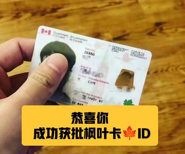 加拿大移民最新政策_如何快速拿到枫叶卡