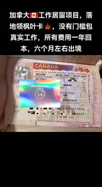 加拿大移民最新政策_如何快速拿到枫叶卡