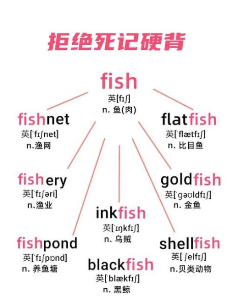 鱼儿同类词语有哪些_鱼儿近义词大全