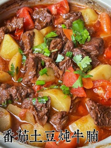 高压锅炖牛腩怎么做_牛腩炖多久才软烂