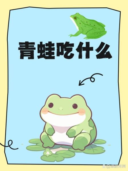 青蛙怎么养_青蛙吃什么食物