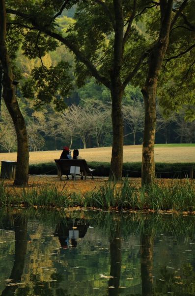 秀丽安静的地方有哪些_如何找到安静又秀丽的去处