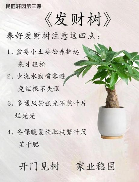 长势茂盛的植物怎么养_长势茂盛的秘诀是什么