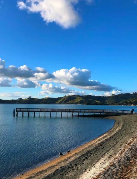 新西兰移民有什么好处_新西兰移民真实生活体验